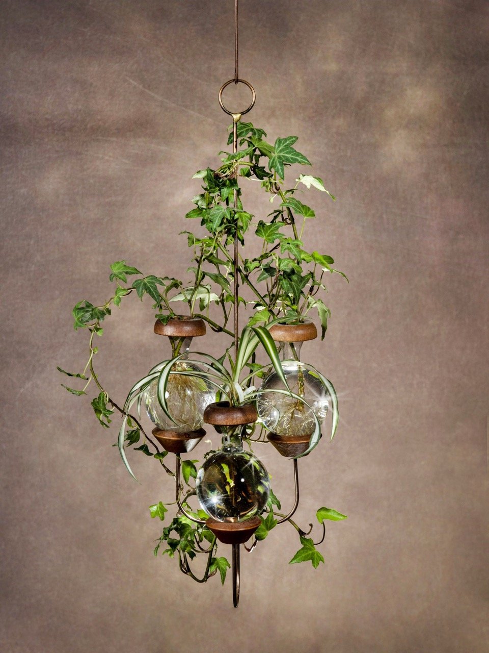 Triple Bulb Design Plant Rooters