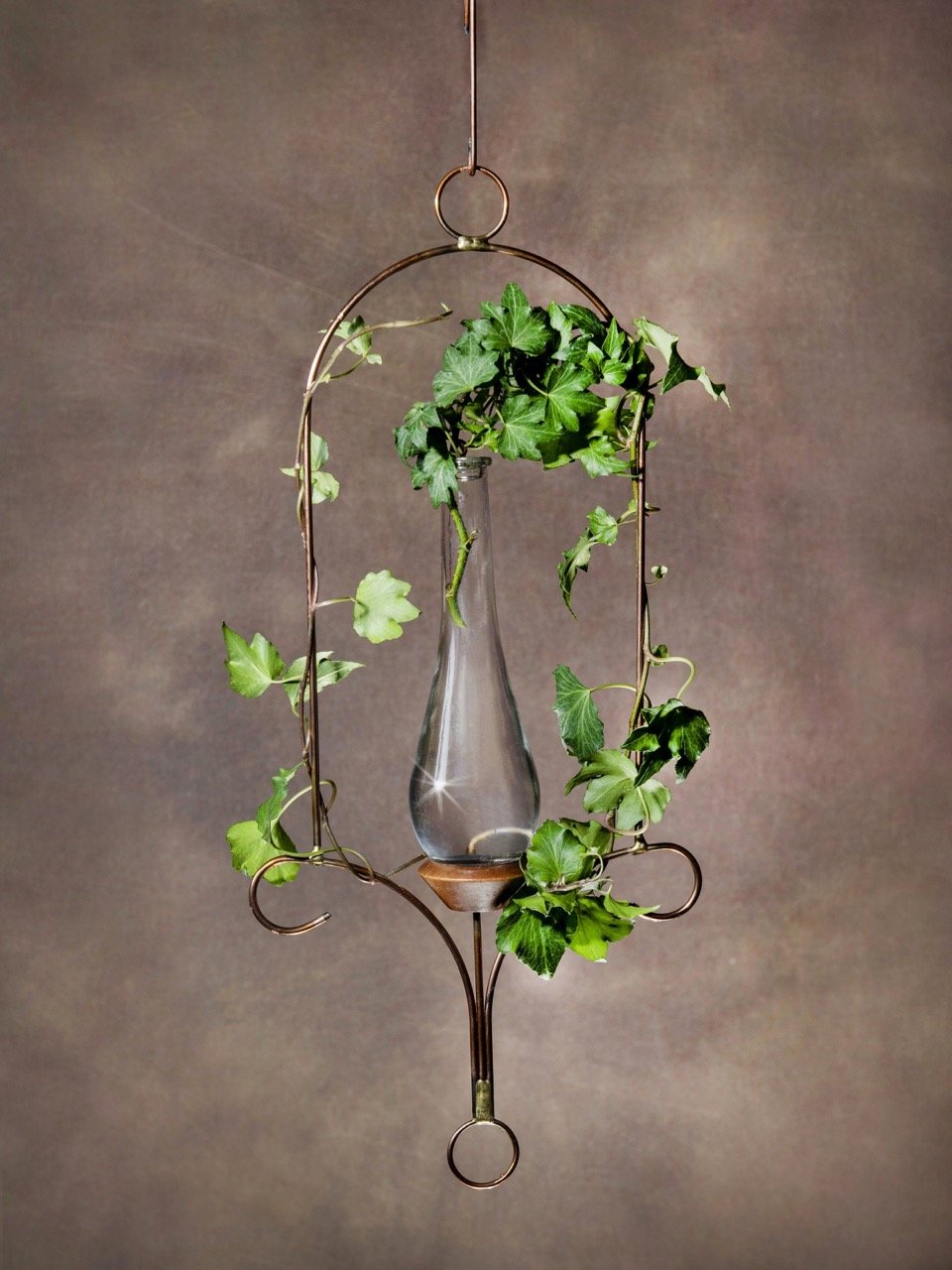 Tall Bulb Loop Plant Rooter