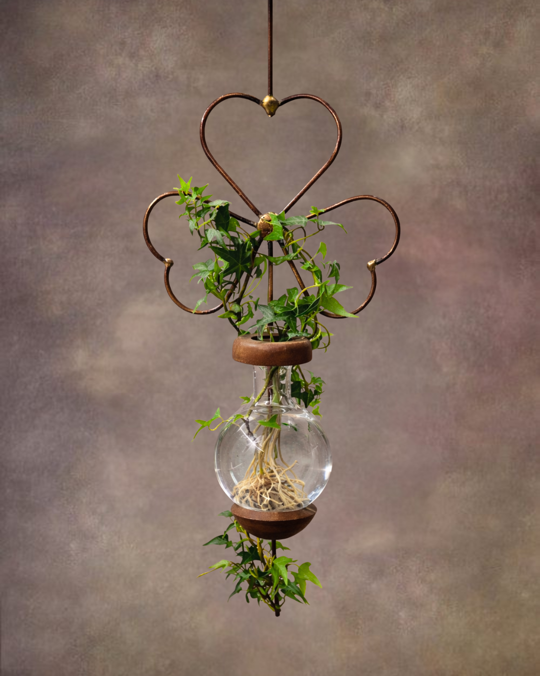 Shamrock Plant Rooter