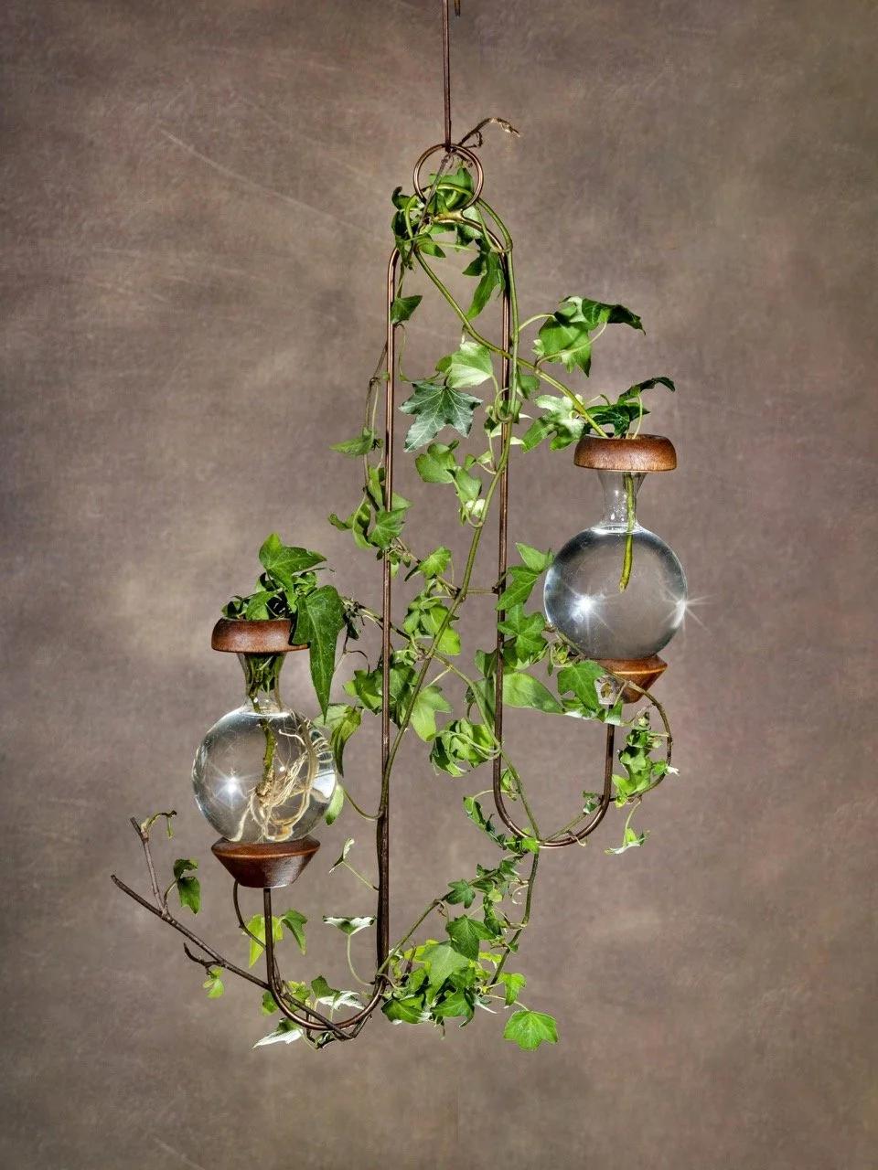 Twin Design Plant Rooter