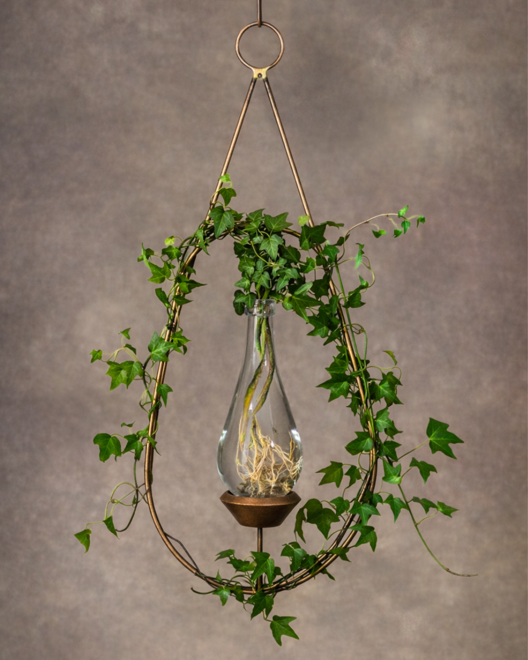 Tear Tall Bulb Plant Rooter