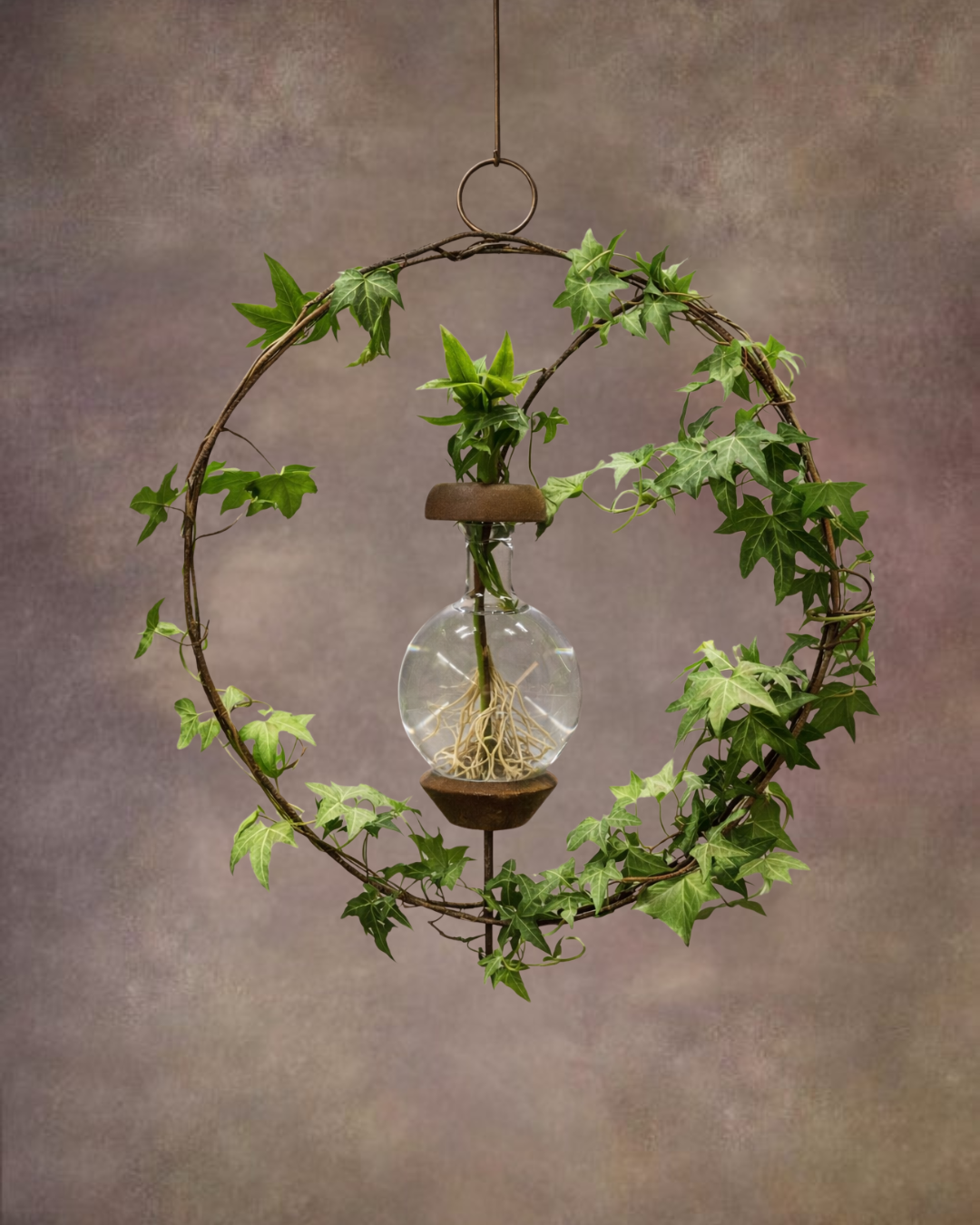 Round Design Plant Rooter