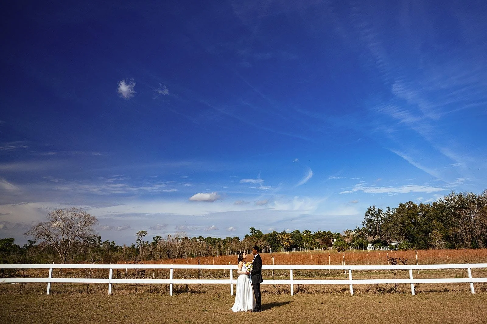 A bride and groom standing close together outdoors under a blue sky with wispy clouds, surrounded by trees and a white fence.