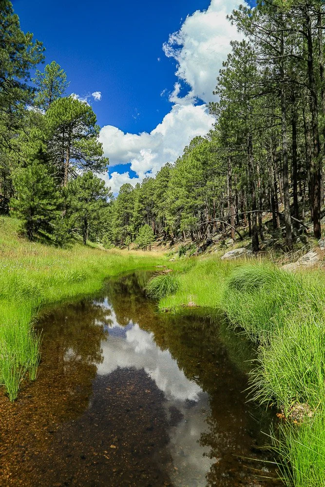 Pools of water along East Clear Creek. 