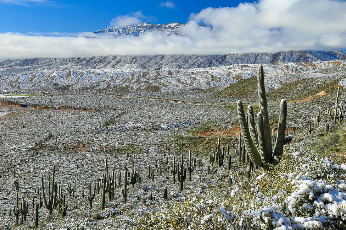 Snow in the Sonoran Desert, horizontal.
