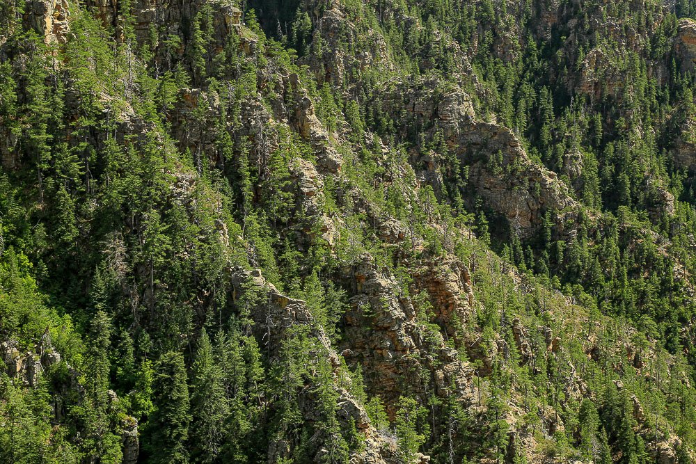 Steep forested slopes along the Mogollon Rim.