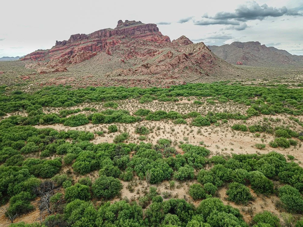 Green bosque along the Salt River near Mount McDowell. 