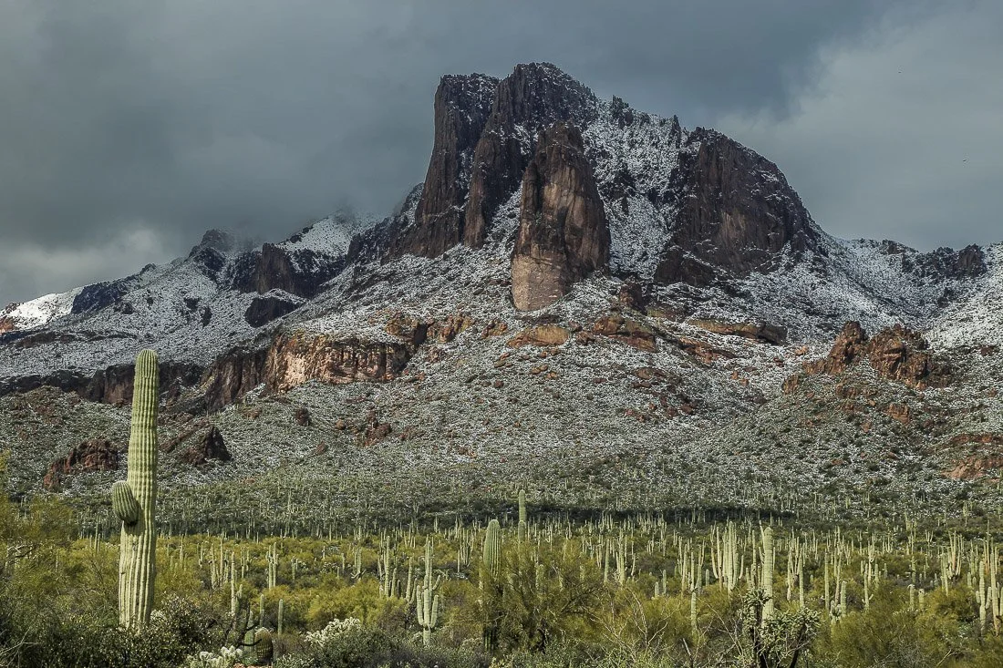 A lone volcanic mountain looms above a saguaro cactus forest near the Peralta Trailhead in the Superstition Mountains.