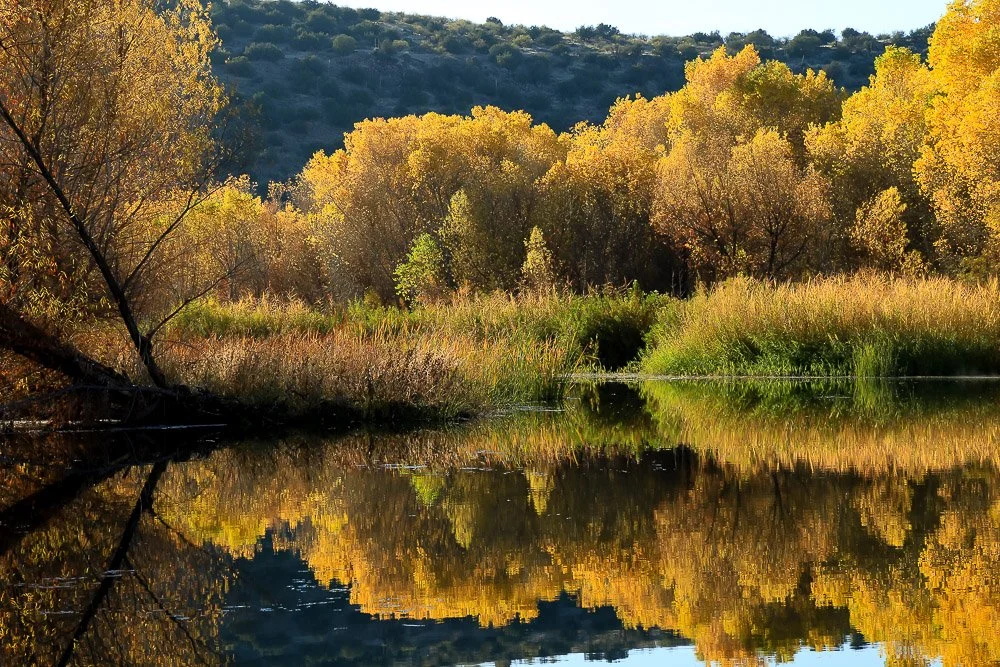 Autumn colors reflected in pools along Tonto Creek near Gisela. 