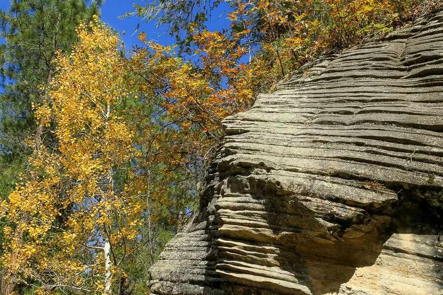 Yellow aspen and layered sandstone east of Potato Lake.