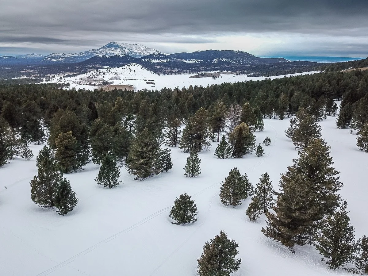 Snowy winter scene west of Flagstaff.