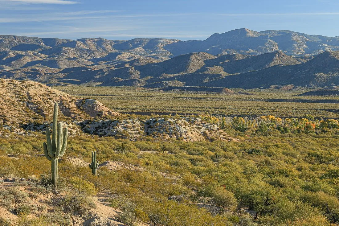 Mountains and shadows forms a backdrop to green desert in Tonto Basin.  