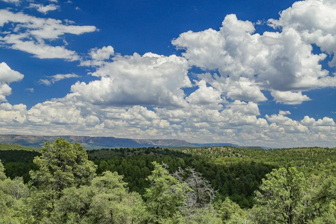 Puffy summer clouds along the Mogollon Rim.