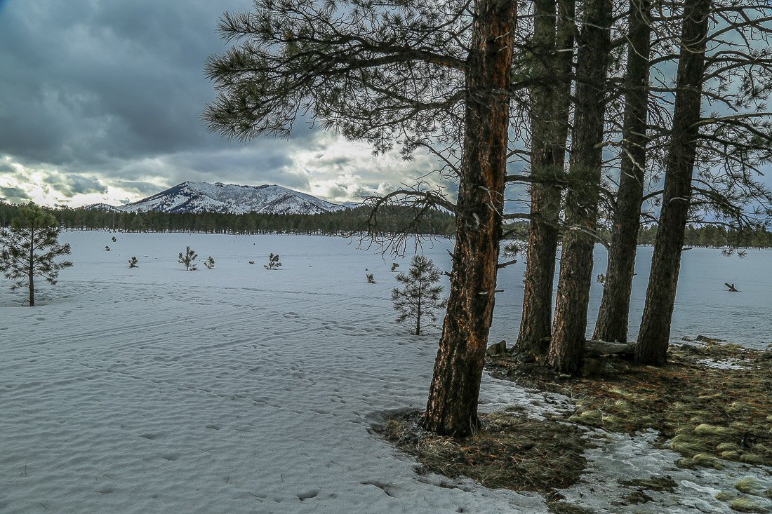 A quiet snow-covered meadow northwest of Flagstaff.