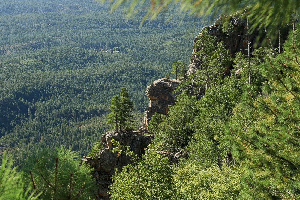 The forested edge of the Mogollon Rim above Shadow Rim Girl Scout Camp.