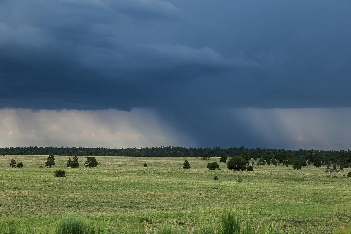 Dark rain clouds over high grasslands east of Flagstaff.