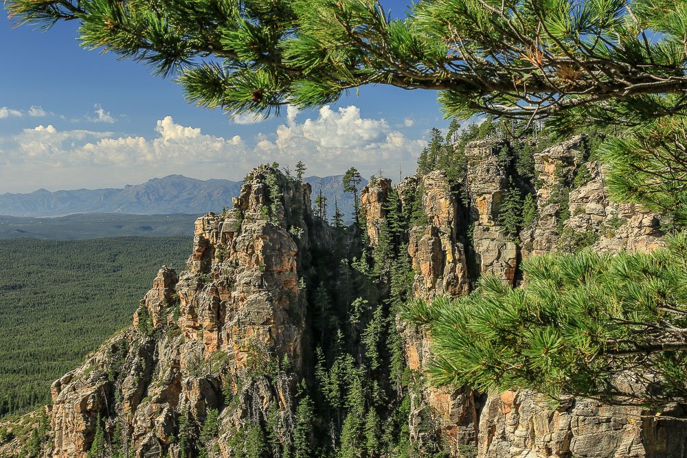 Cliffs of Coconino sandstone along the Mogollon Rim.