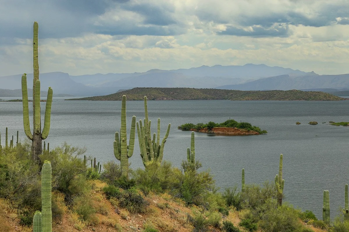 Tall saguaros frame the vast Roosevelt Lake. 