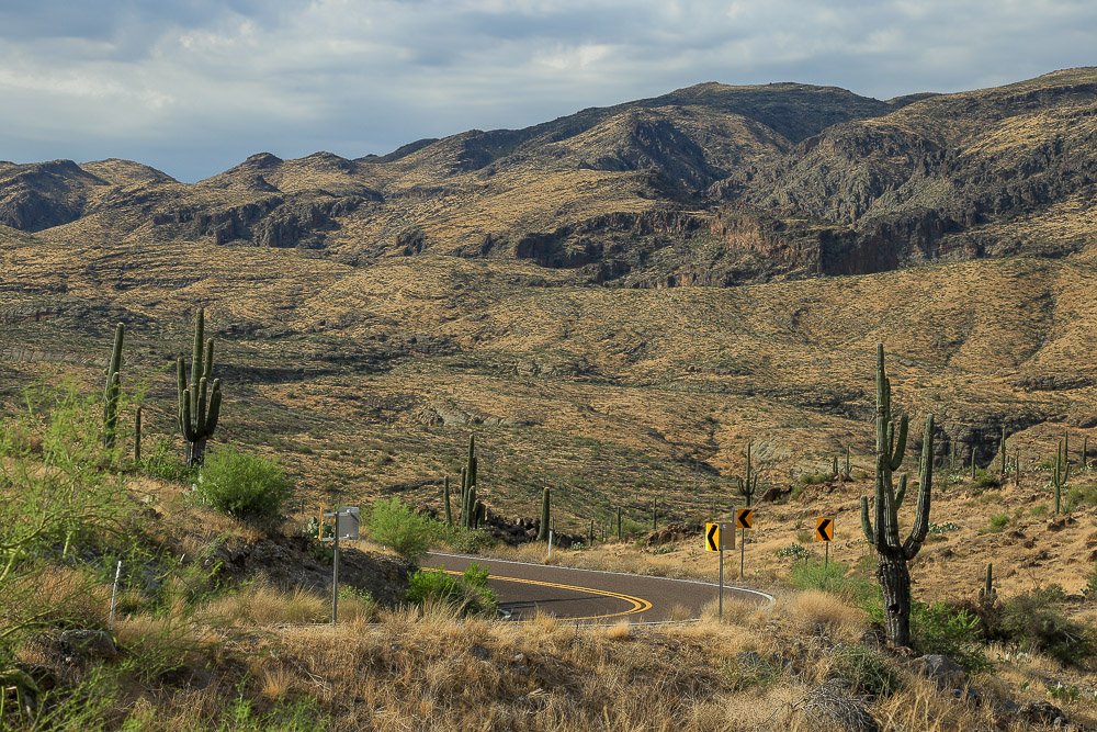 Saguaros and barren volcanic mountains along the Apache Trail. 