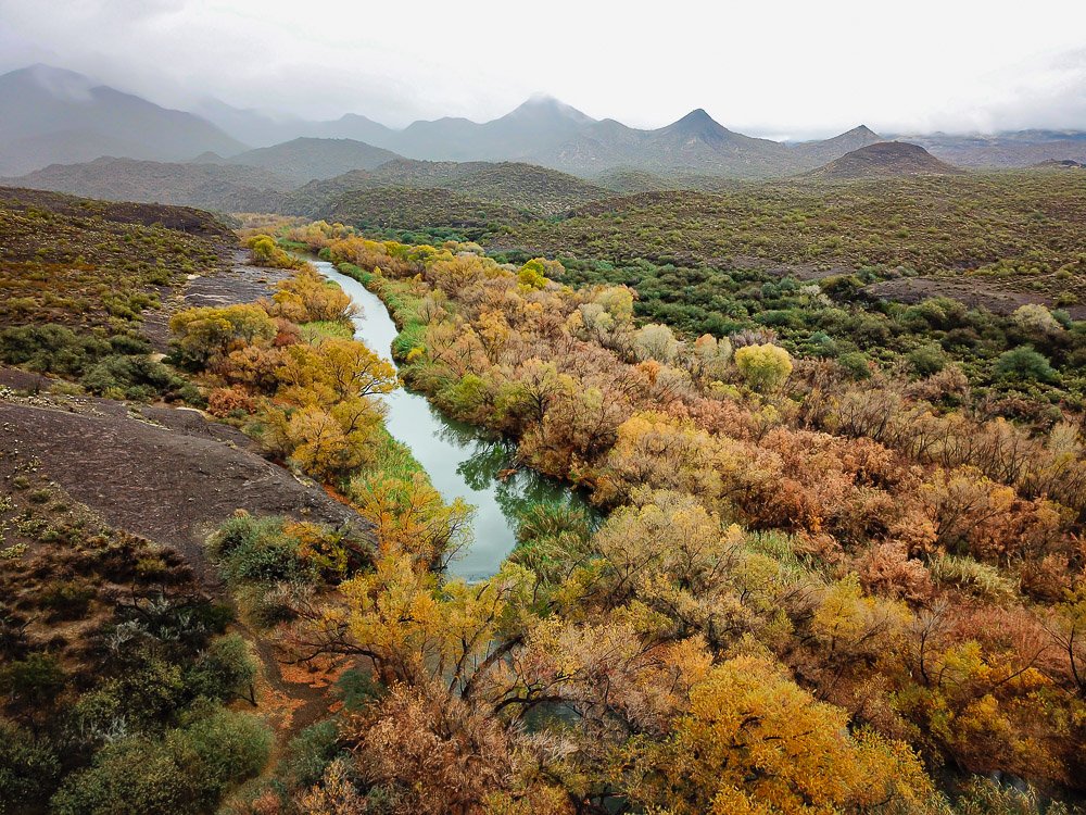 Autumn colors along the Verde River near Needle Rock. 
