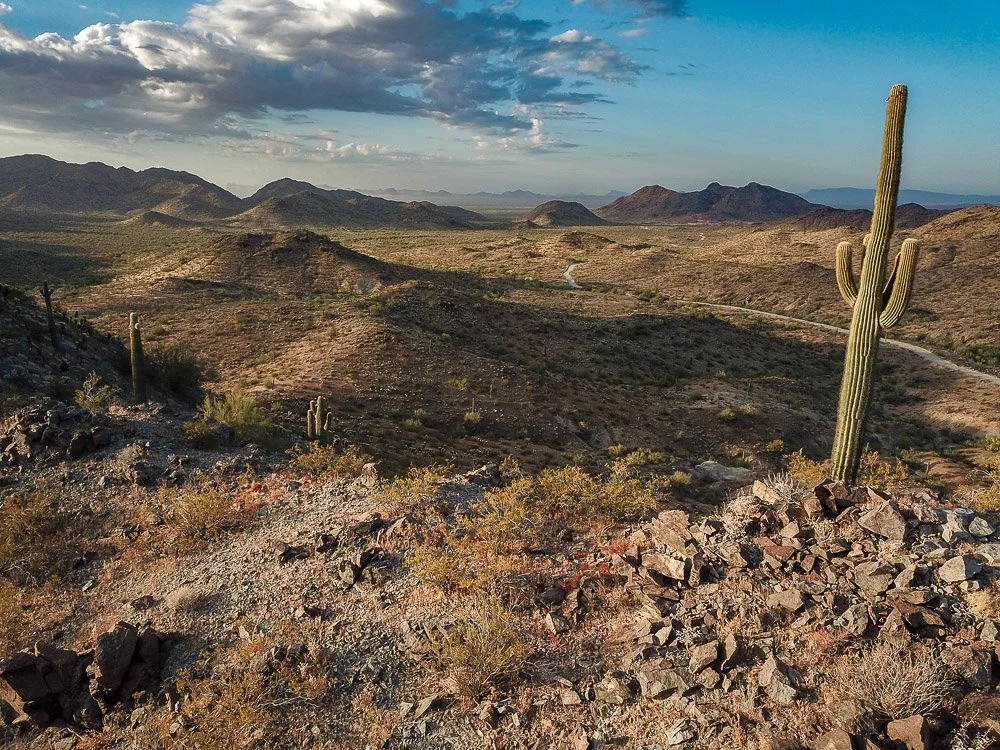 A lone saguaro on a ridge top overlooks  the desolate Little Harquahala Mountains in western Arizona. 
