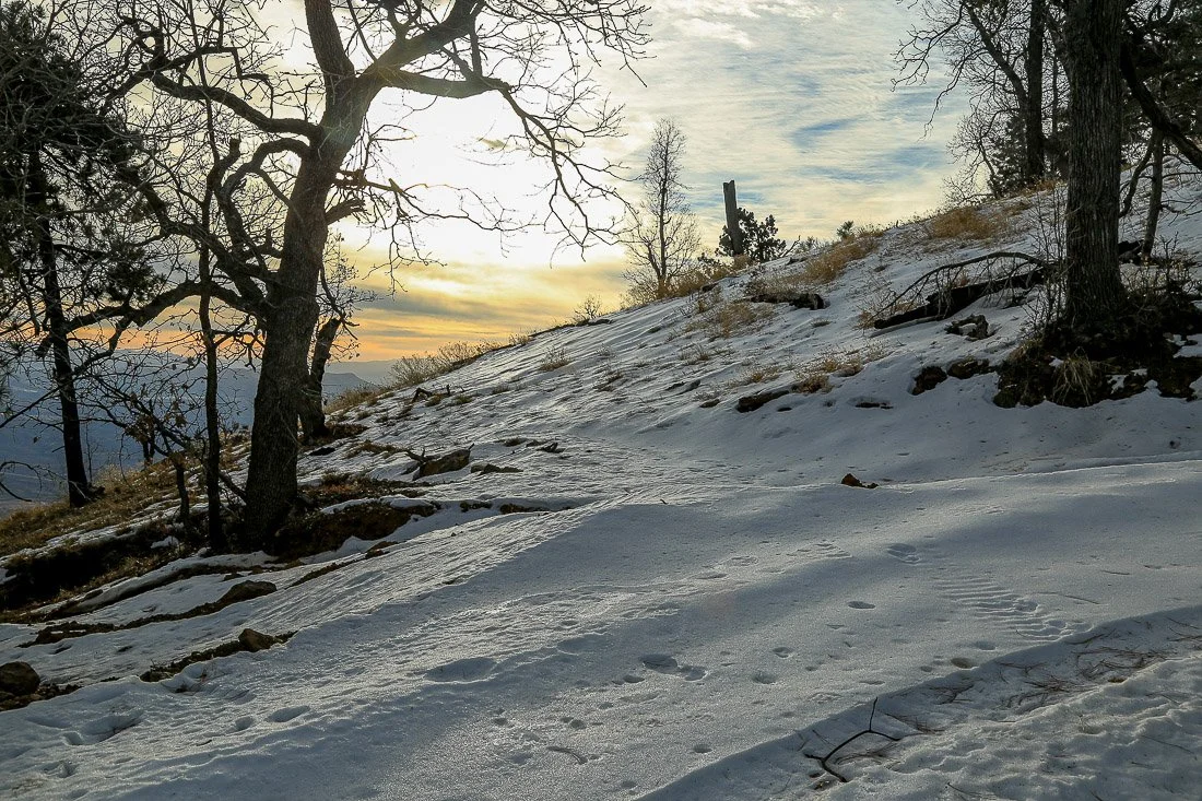 Sunrise greets the quiet icy slopes of Mount Ord.