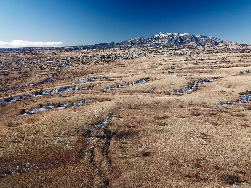 Grassy plain near the Santa Rita Mountains.