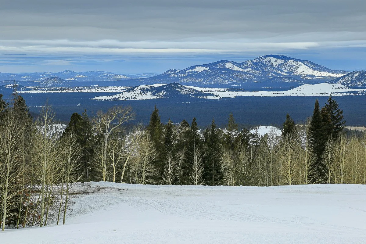 Winter snow and forest west of Flagstaff.
