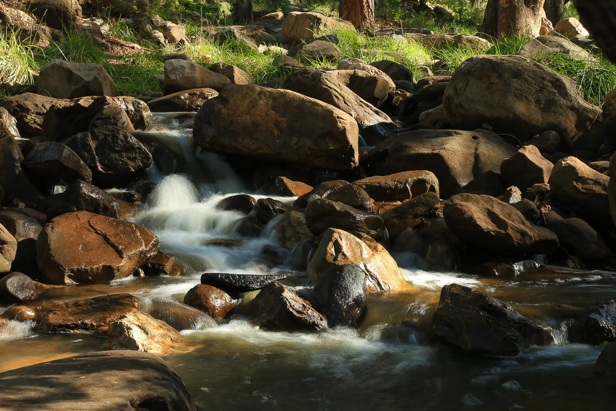 Cascading creek near Whispering Pines.