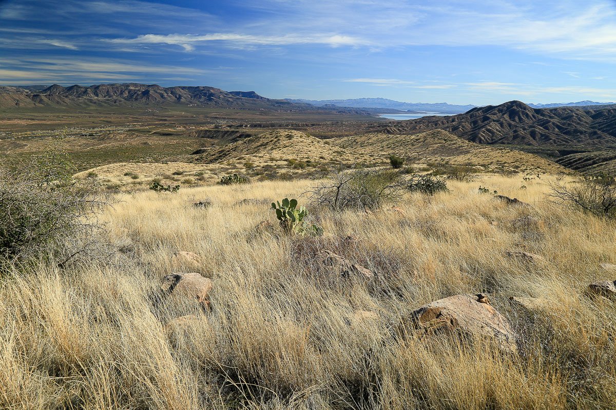 Desert grasslands on the west side of Tonto Basin.