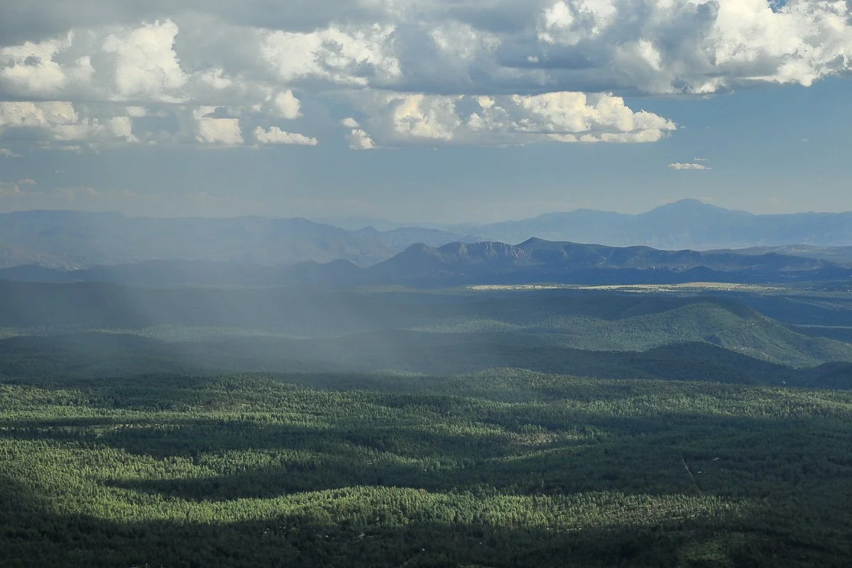 Summer rain nourishes the forest north of Payson.
