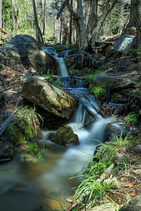 Small waterfalls along the headwaters of the East Verde River. 