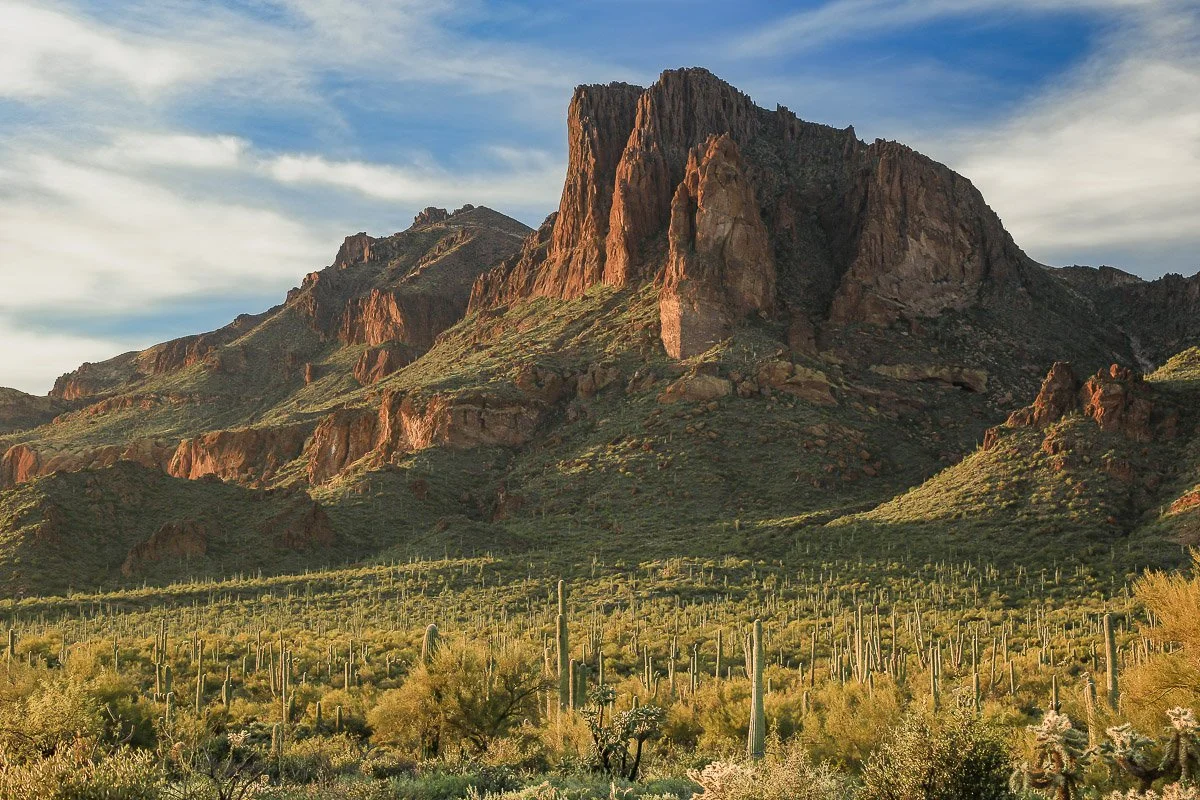 A lone volcanic peak towers above a saguaro forest in the Superstition Mountains.