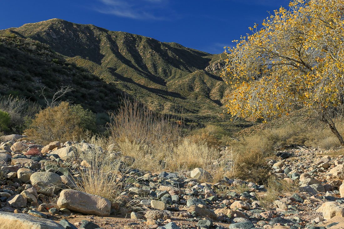 Boulders in a desert stream below mountains.