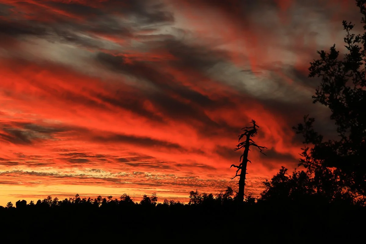 A red sunset over the Mogollon Rim.