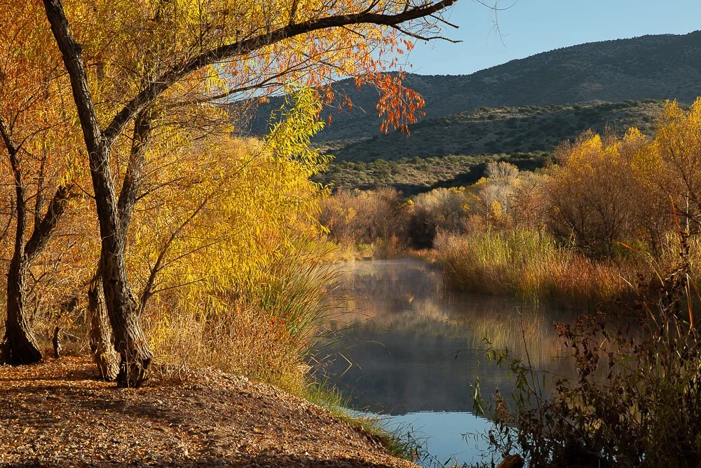 Autumn foliage borders Tonto Creek near Gisela. 