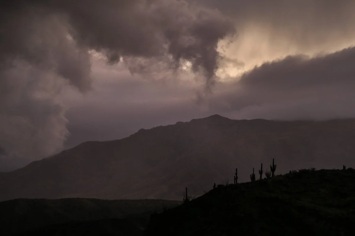 Massive dark storm clouds shrink saguaros. 