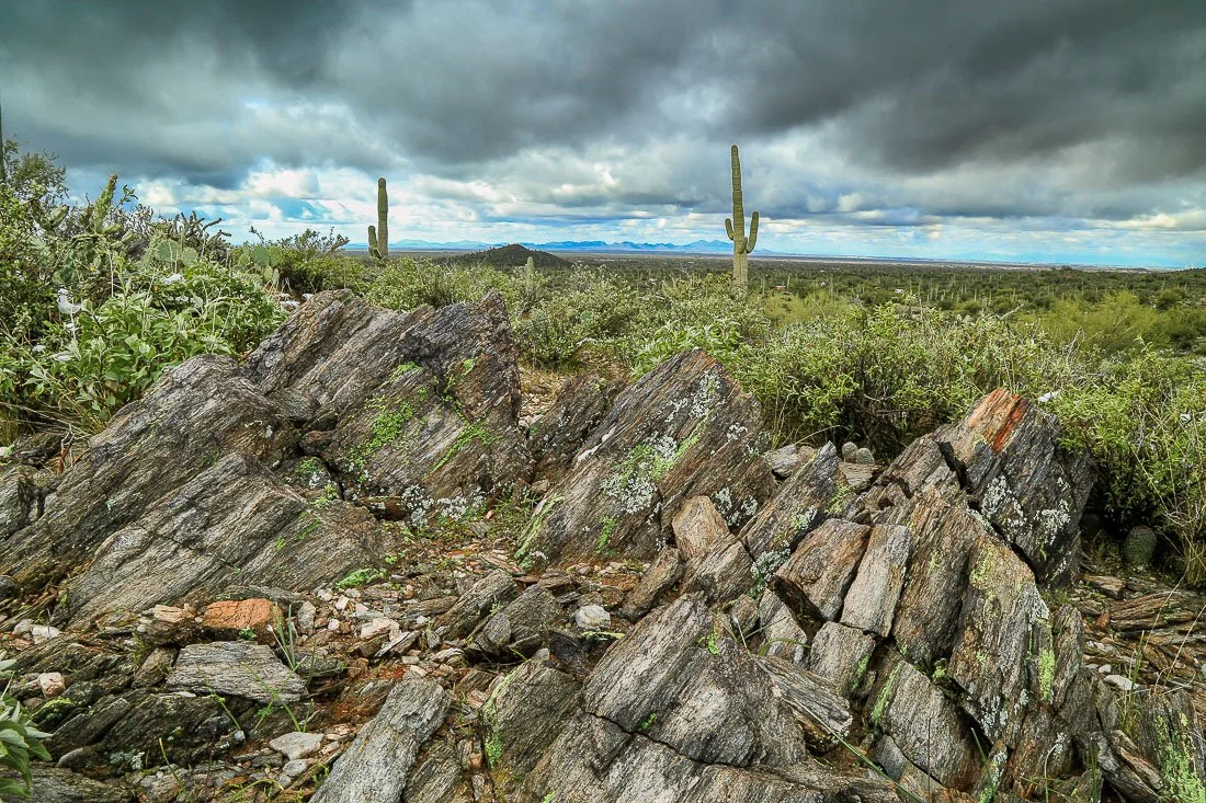 Layered metamorphic rocks emerge from a winter storm.