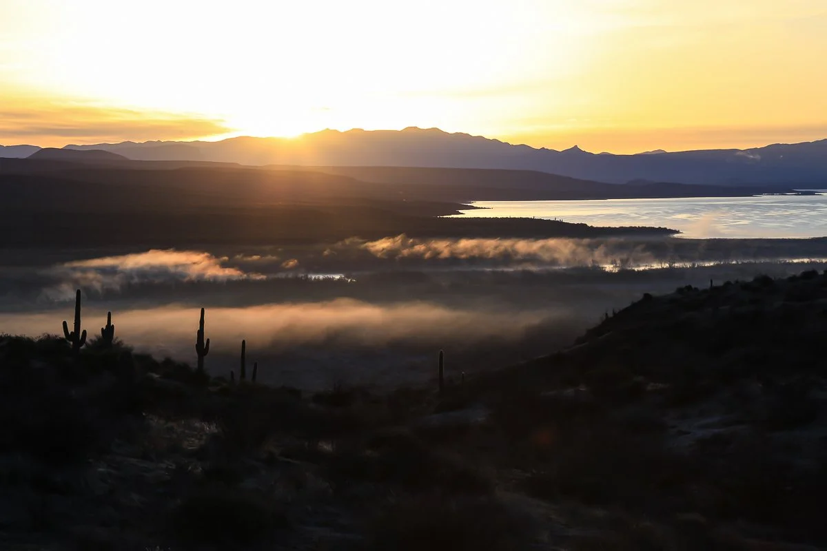 Sunrise illuminates winter fog where Tonto Creek enters Roosevelt Lake.