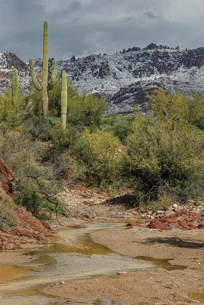 A temporary stream in the desert after a winter storm south of the Superstition Mountains.