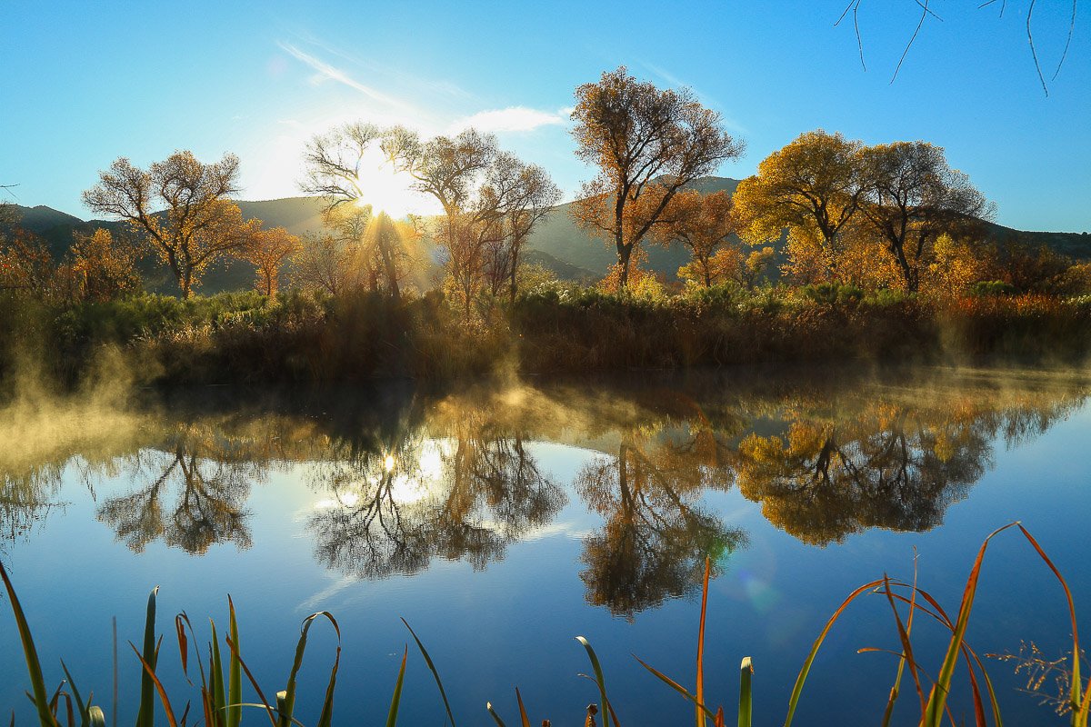 Autumn Colors