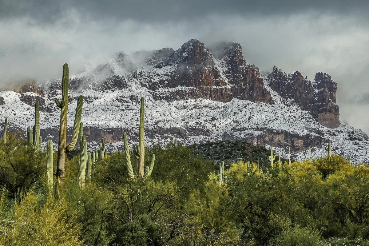 Stately saguaros illuminated by rays of sunlight for just a moment in front of the snow-covered Superstition Mountains.