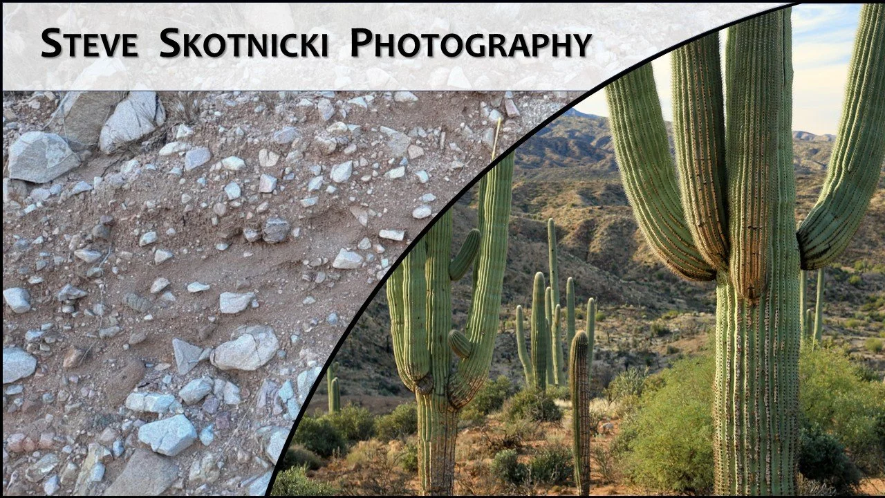 Steve     Skotnicki     Photography