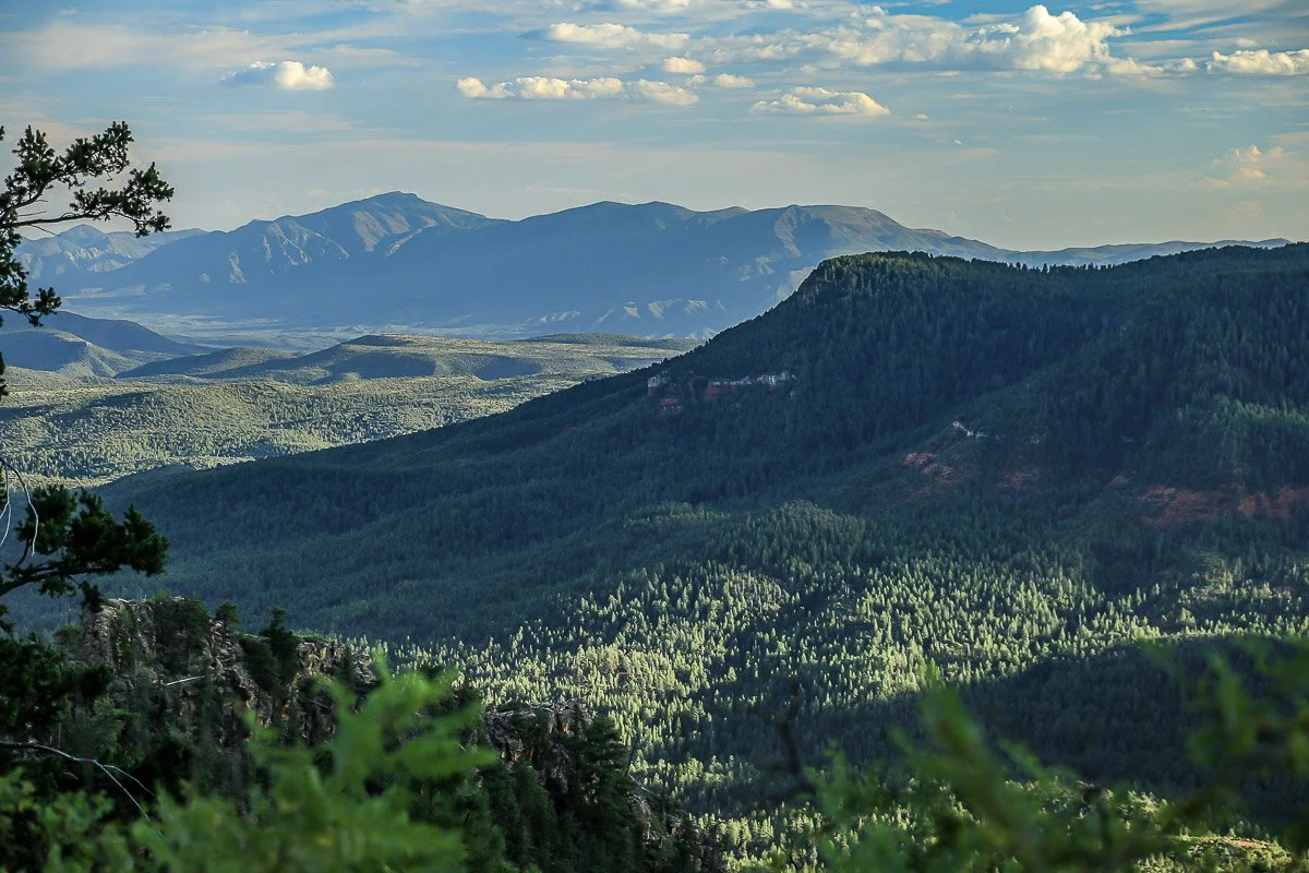 Shadows and forest at Milk Ranch Point along the Mogollon Rim.