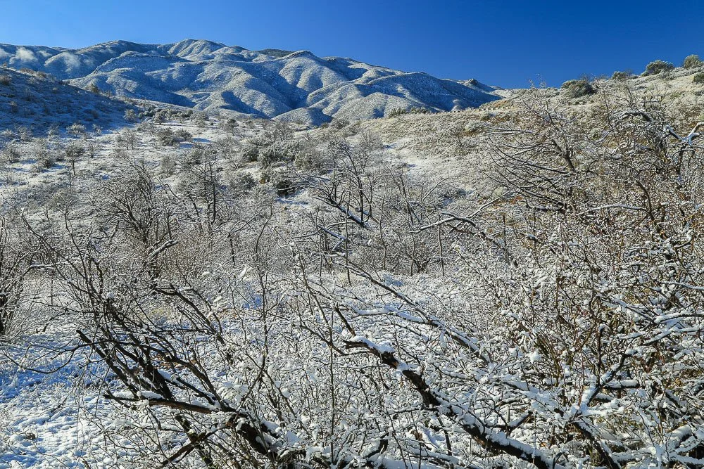 A chilly winter scene north of Mount Ord.