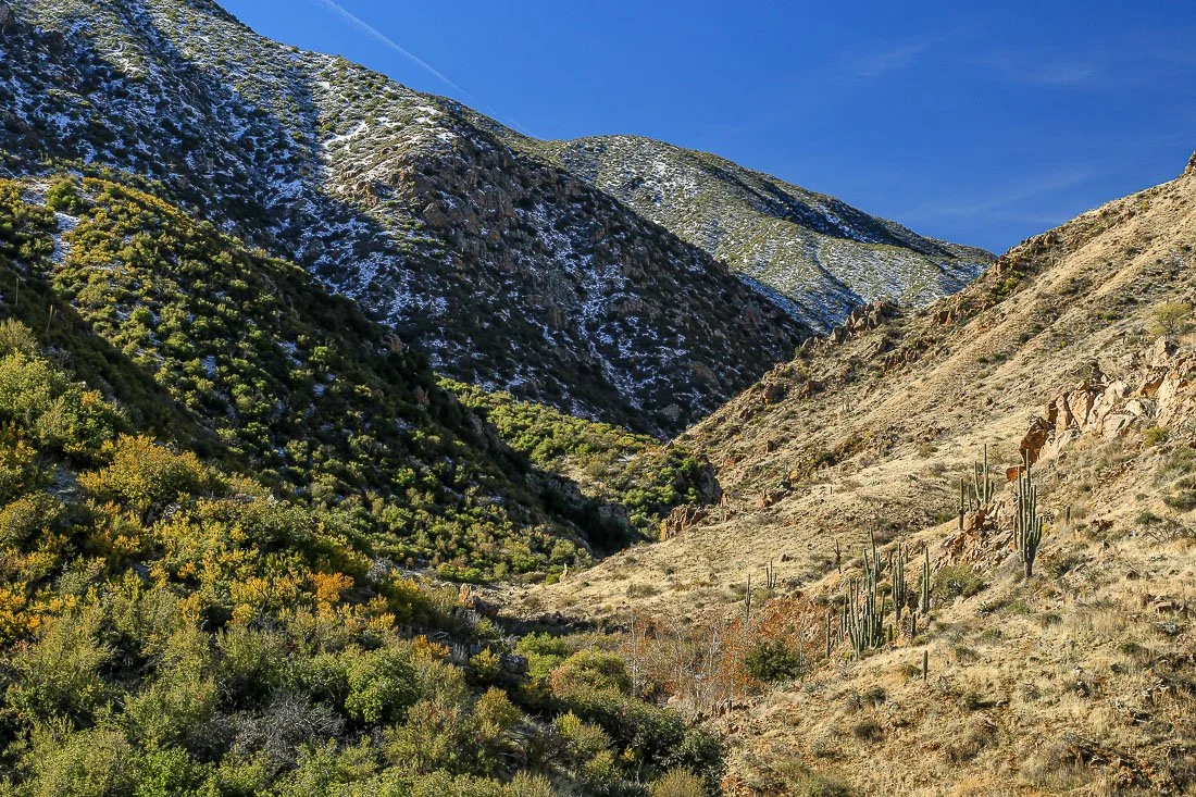 Sun and shade in Sycamore Canyon. 