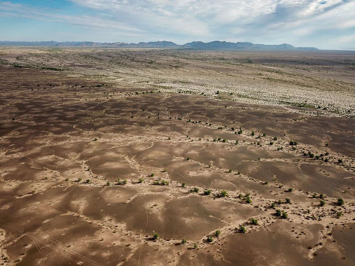 Ancient Gila River gravels left high and dry near the Palomas Mountains were transformed into dark desert varnish by desert microbes. 