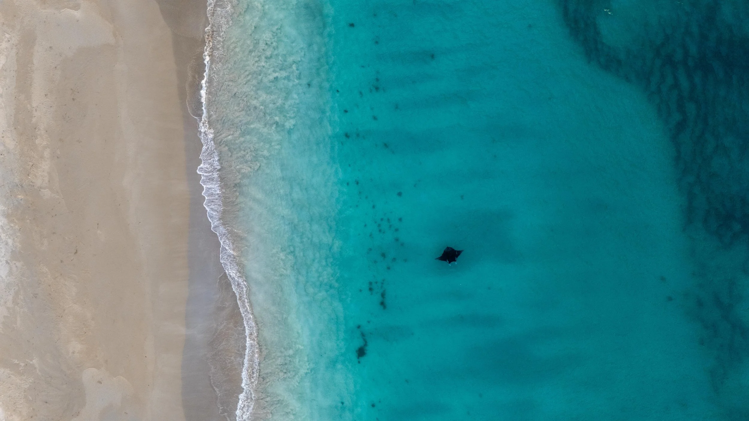 Aerial view of a sandy beach alongside clear turquoise ocean water with a black boat and visible seaweed patches.