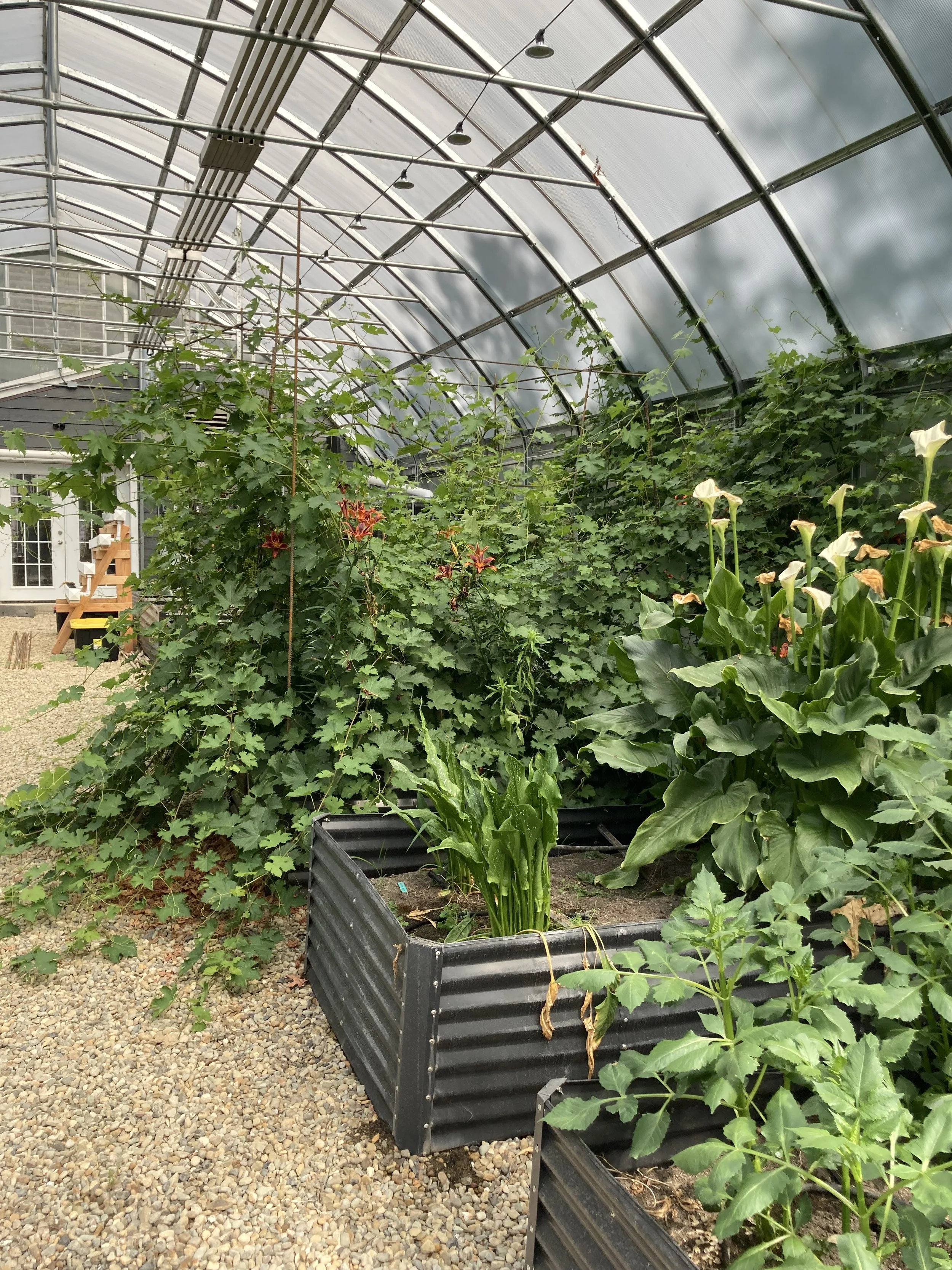 2024-05-18 16.48.20.jpg