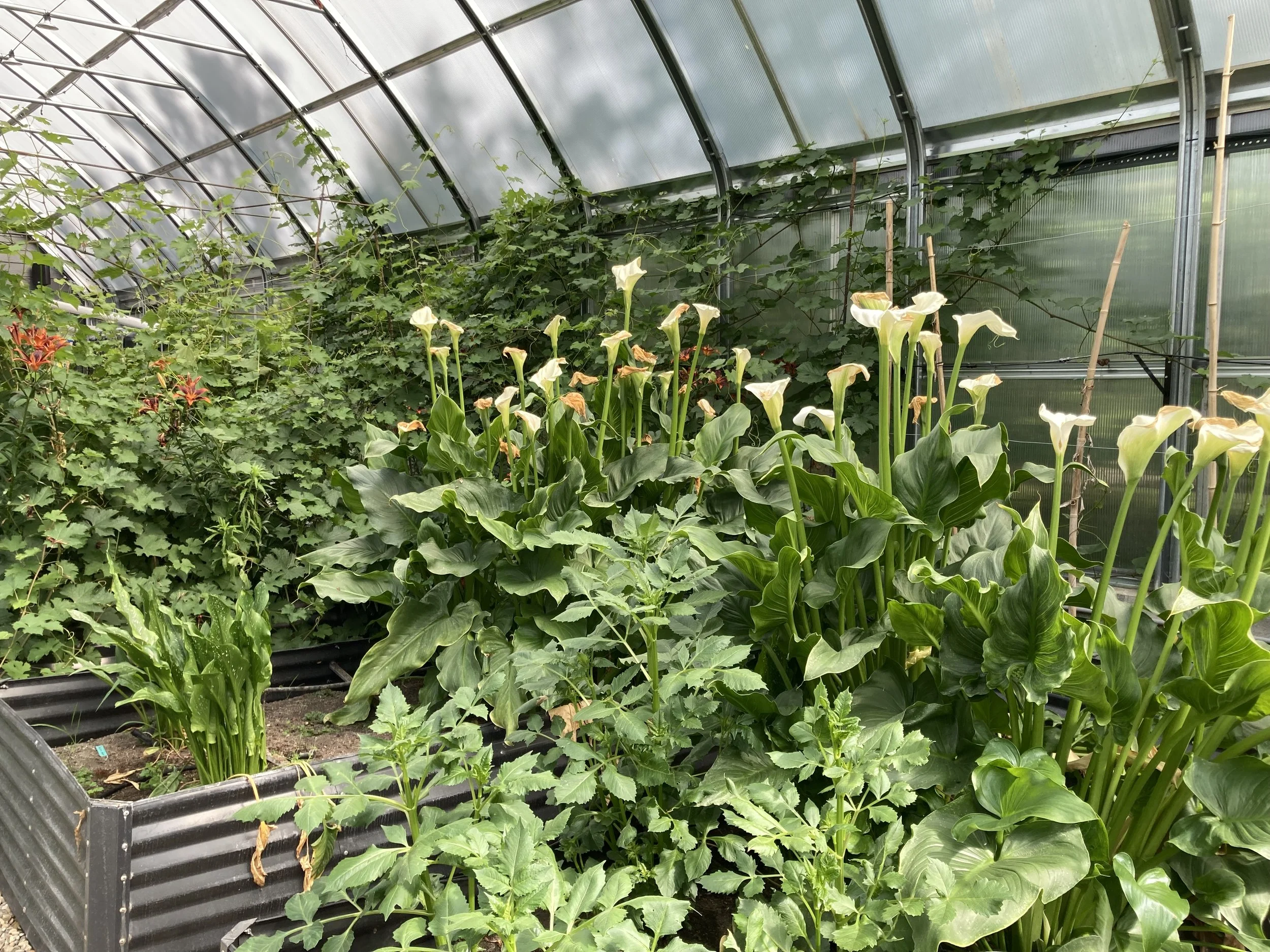 2024-05-18 16.48.17.jpg